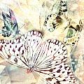 BUTTERFLIES GEOMETRIC 4
