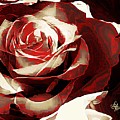 A Rose Of Love